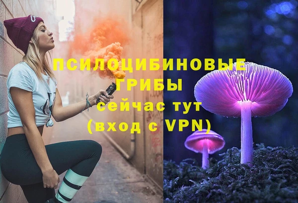 ALPHA PVP Богородицк