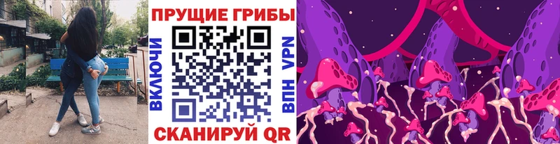 Галлюциногенные грибы Magic Shrooms мориарти наркотические препараты Гатчина