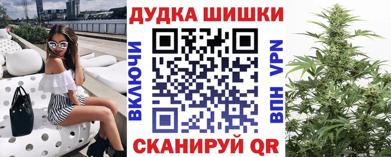 Конопля план  Гатчина 